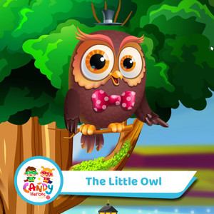 The Little Owl