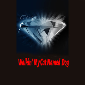 Walkin' My Cat Named Dog (Radio Edit)