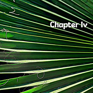 Chapter Iv