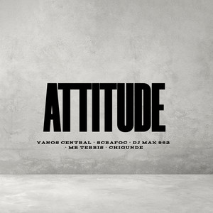 Attitude
