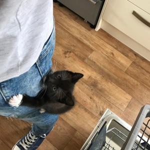 40clip(feat. injury, m4 & ascending)