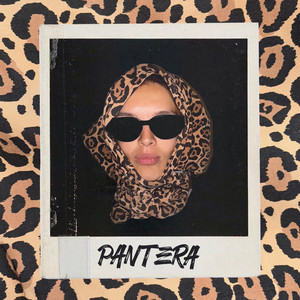 Pantera (Boogie Spells Remix)