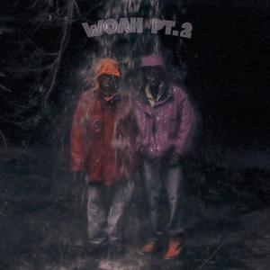 woah pt. 2 (feat. Shaded) (Explicit)