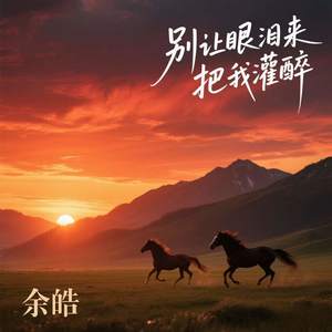 别让眼泪来把我灌醉
