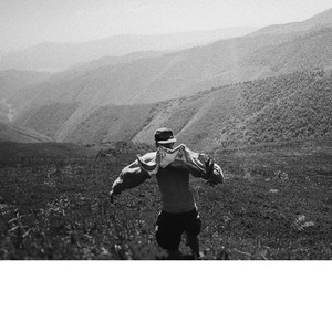 Сонний птах