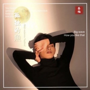 孤独的鱼 (伴奏)