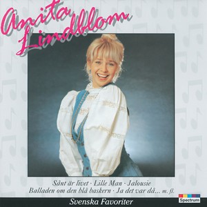 Ta ett snälltåg till himlen