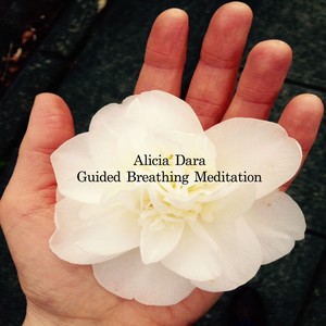 Guided Breathing Meditation (Explicit)