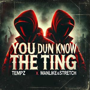 You Dun Know The Ting (feat. ManLikeStretch) [Explicit]