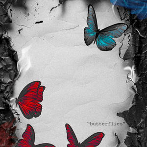 butterflies