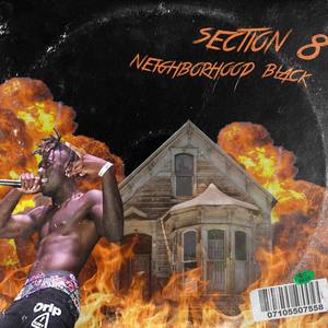 Section 8 (Explicit)