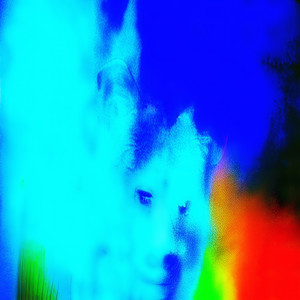 l o n e l y . (Explicit)