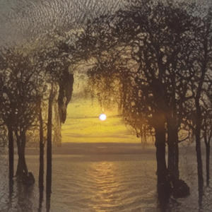 Incompetence (feat. SINDHUJA)