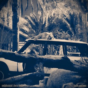 Lambs and Lions(feat. Born I Music)