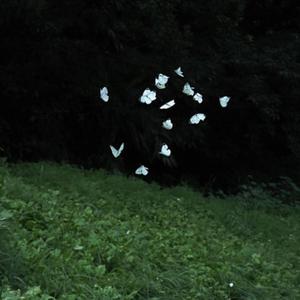 riot (Explicit)
