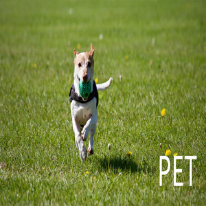 Ritual Self-Mutilation