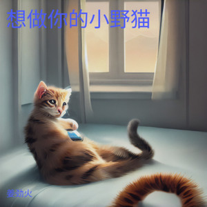 想做你的小野猫