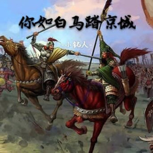 你如白马踏京城