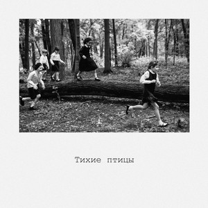 Тихие птицы