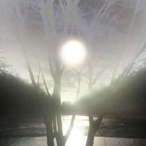 beam (Explicit)
