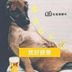 生活已太累我好疲惫