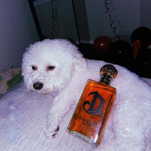 No Friend (Explicit)