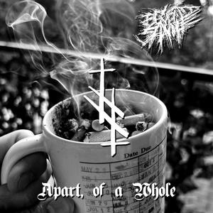 Beyond Shame - The TV Doesn't Turn Off