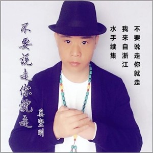 不要说走你就走 (KTV版)