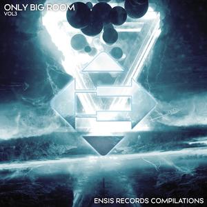 Only Big Room - Vol. 3