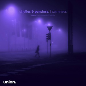 calmness (slowed & reverb)