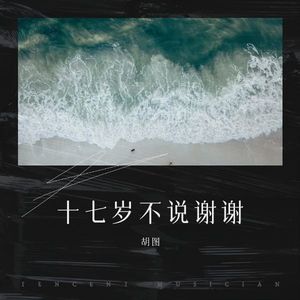 17岁不说谢谢