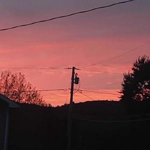 Fall In Love Again (feat. Marcie)