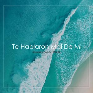 Te Hablaron Mal De Mi (feat. VALDZ)