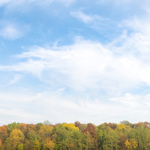 55 Melodías Suaves Y Relajantes Para Tu Invierno De 2020