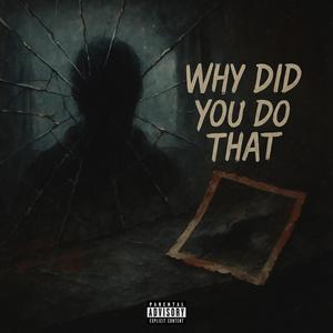 Why Did You Do That? (Explicit)