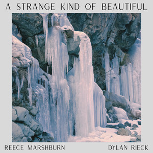 A Strange Kind of Beautiful