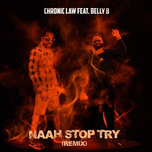 Naah Stop Try (Remix) [feat. Belly B]