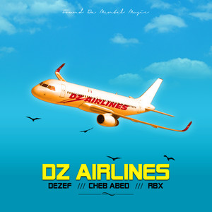 Dz Airlines