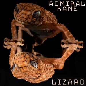 Lizard