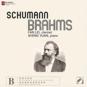 第三乐章：流畅的行板-快板（Brahms：Clarinet Sonata in E flat Major，Op.120，No.2：III. Andante con moto.Allegro）