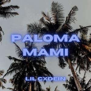 paloma mami