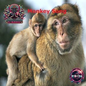 Monkey song (Original mix)