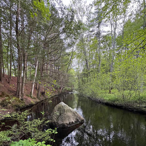 Didn't Settle For Lonely