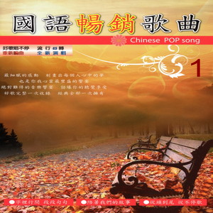 宝贝 对不起 + 难以罢休(花心)+ 我爱你 + 求婚 + 你说你比较习惯一个人 + 海鸥飞呀飞 + 你是我心底的烙印 + 天使在夜里哭 + 你的宝贝 + 相知相守 + 停不了的爱 + 宁愿我伤心 + 等你等到我心痛 + 当爱已成往事 + 有情人被无情伤 组曲封面
