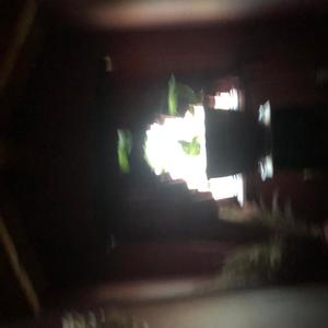 who am i meant to know?