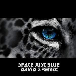 Space Just Blue (David Z Remix)