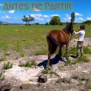 Antes de Partir (feat. Daniel Agonizantes)