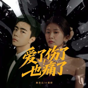 爱了伤了也痛了
