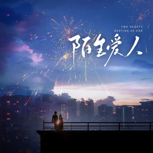 陌生爱人 (伴奏)