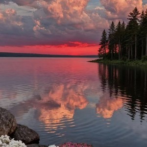 爱不是展览 何必给谁看 (氛围版)